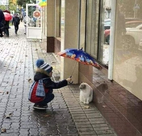 С добрым сердцем..