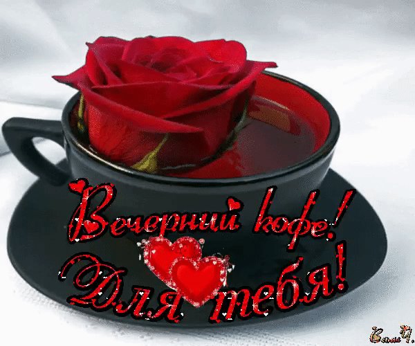 IMG 20220730 001828