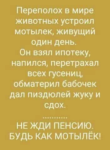 FB IMG 1756837387292