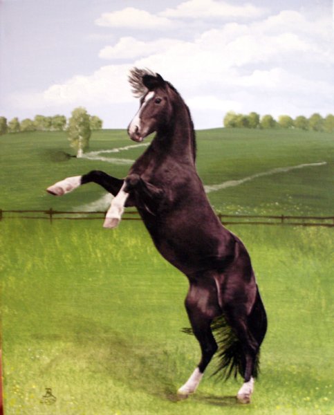 Pferd Vanessa