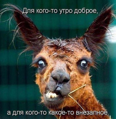 getImage-2