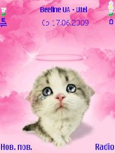 pink cute cat