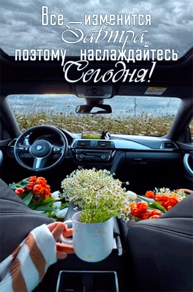 IMG 20240829 125952