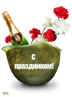23-02-tn