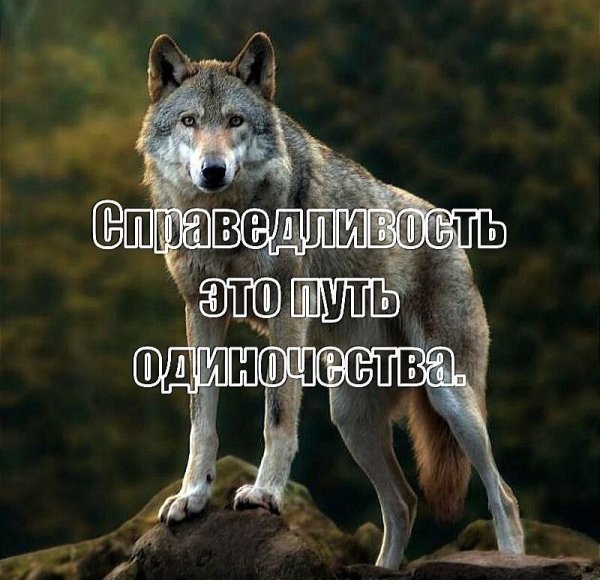 Справедливость