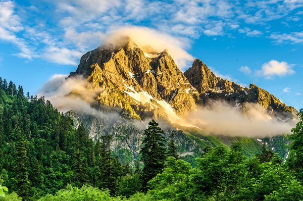 Landscape-machu-meadow-mist