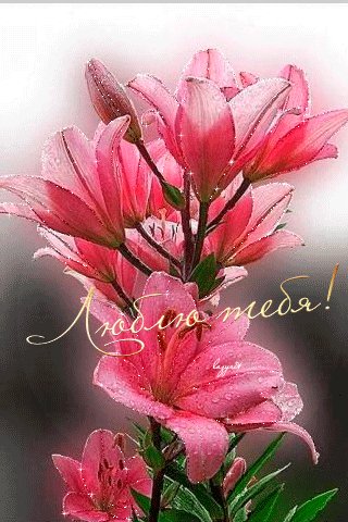 file_53456893
