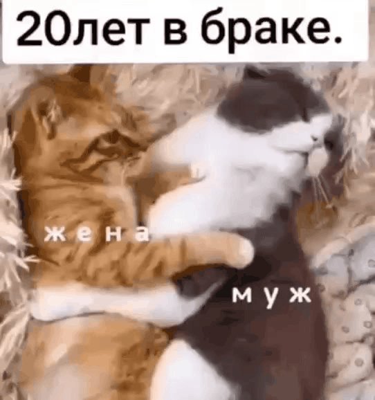IMG 20240401 021904