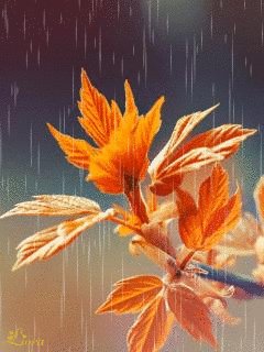 file_58483389