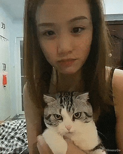 gifs 01