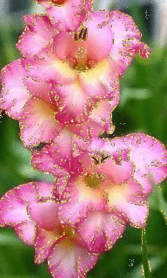 file_57406053