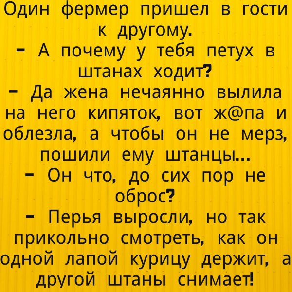 IMG-20240113-WA0033