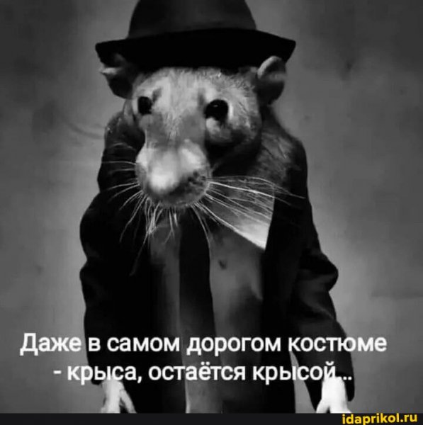 Aff68ff5321b86263a80ef54d0dd51147942ec23ad1 1