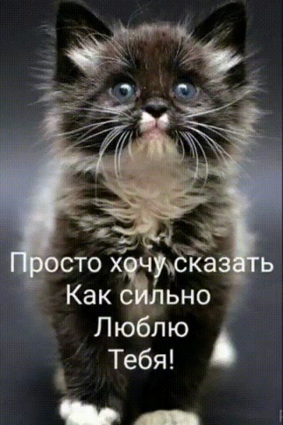 file_93260193