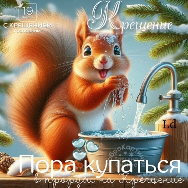 file_95602857