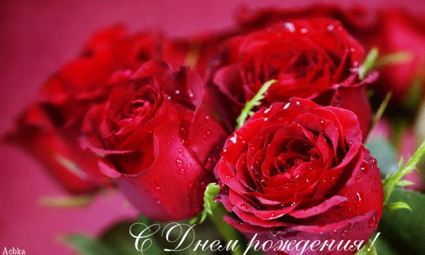 file_91315799
