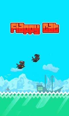 flappy sat