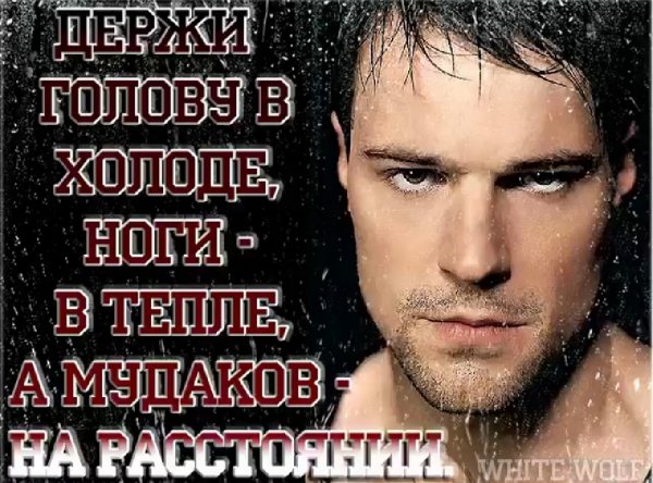 IMG 20260118 193920