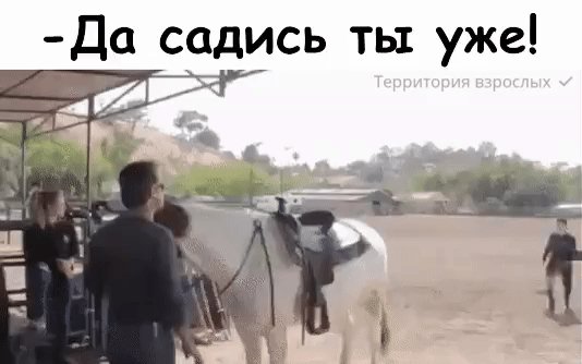 IMG 20191001 230216.gif.a4282810d5a3ed544ce5f37afdee4427