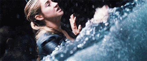 Дивергент (12)