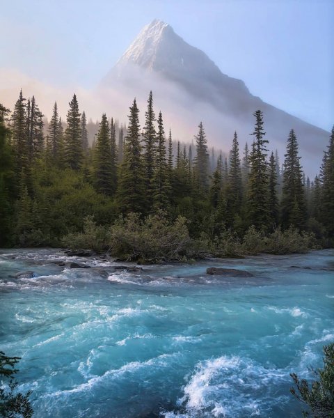 a427cc66cb1cafd54aecafd08135