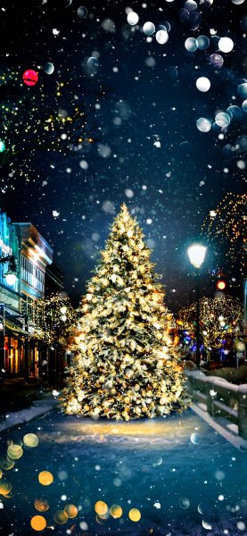 file_92042859