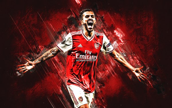 dani-ceballos-spanish-footballer-arsenal-fc-portrait-red-st