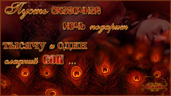 Сказочной ночи и 1001 сладкий сон!