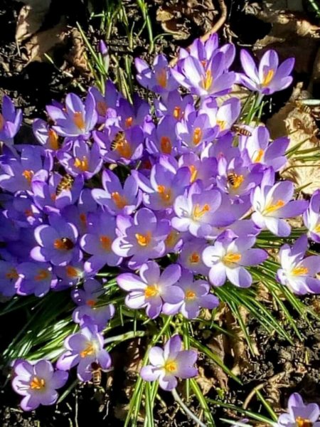 IMG-f9bdf64ba59b437575b6998f596d47ec-V