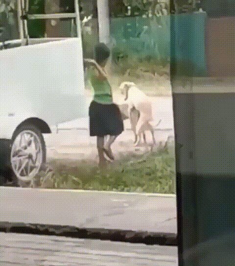 Ибо нехрен!