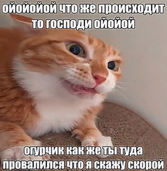 СМЕШНЫЕ КАРТИНКИ (71)