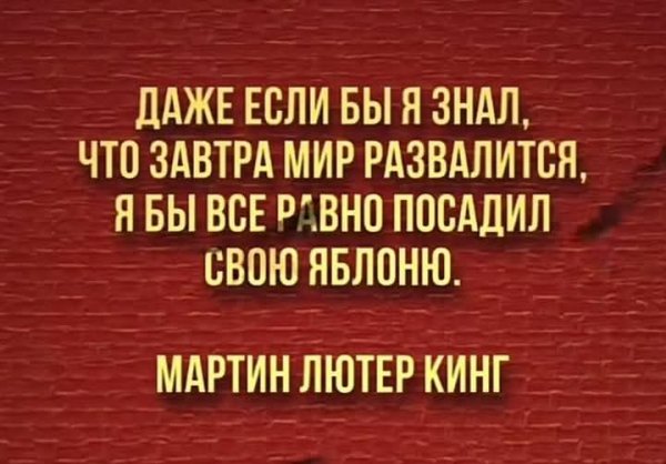 FB IMG 1754318325474