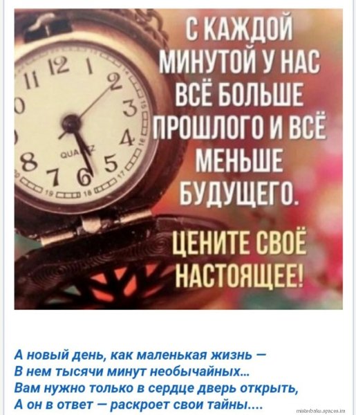 8-noYn W4tc-
