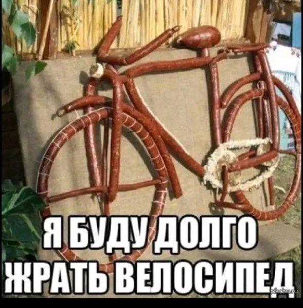file_103005950