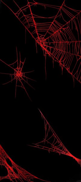 adapted 1080x2408 1775210818