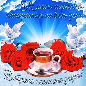 IMG 20181121 062455