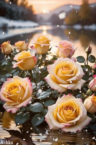 file_98998586