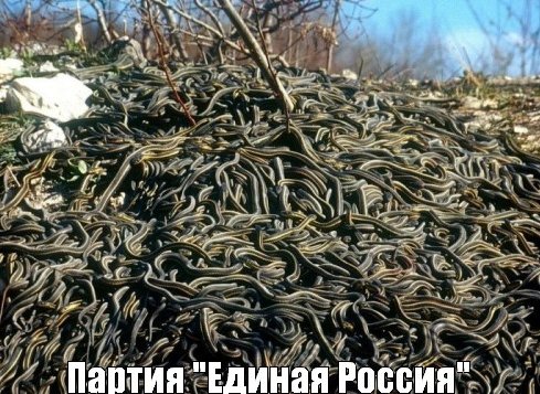 ПЖИВ
