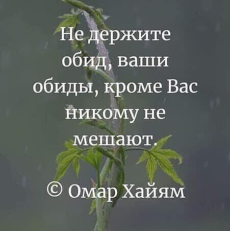 IMG 20210821 083552