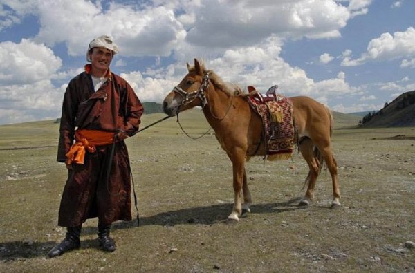 Монгольская лошадь (3)