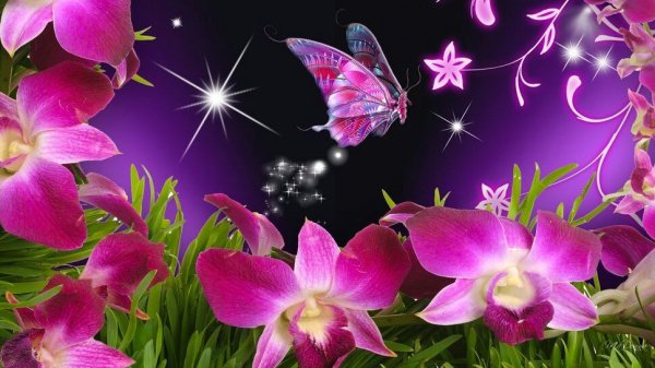 image (1)
