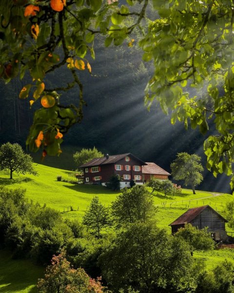 file_97768397