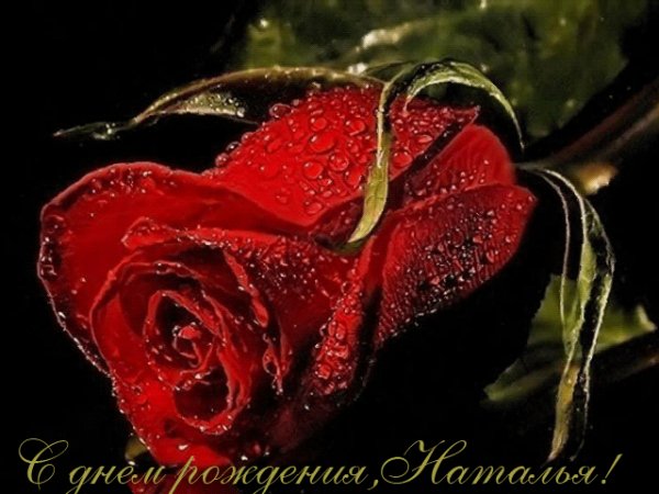 file_81989990