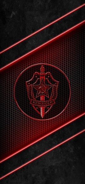 СССР КГБ
