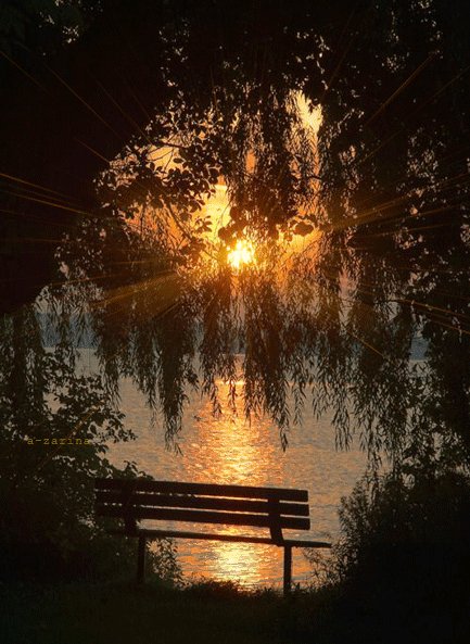 c03e6fb019e20ddeca2dc546b05b3