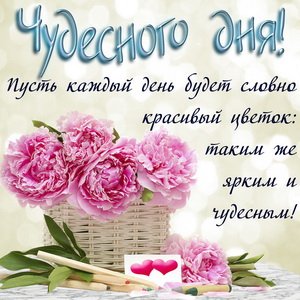 IMG 20190124 054941