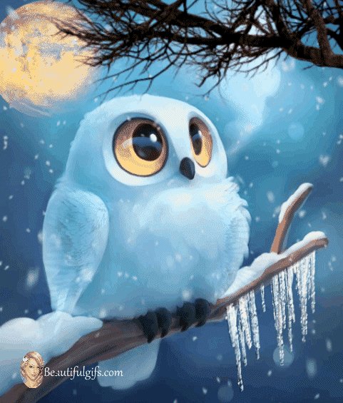 3b6b99128ccafe55afdfc619d3a10171