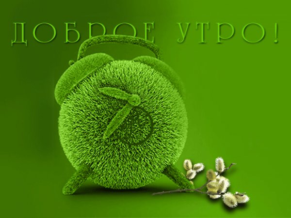 d5bf4118a32e24e48acc39025604
