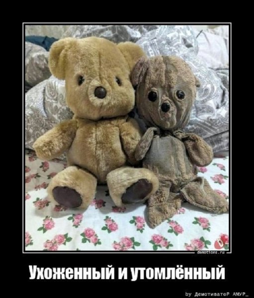 Ухоженный и утомленный
