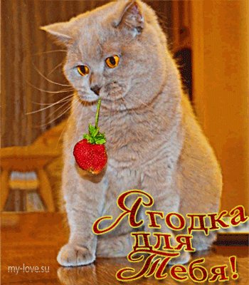 IMG 20171015 171432 1